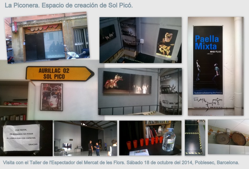 Visita a la Piconera Collage v2