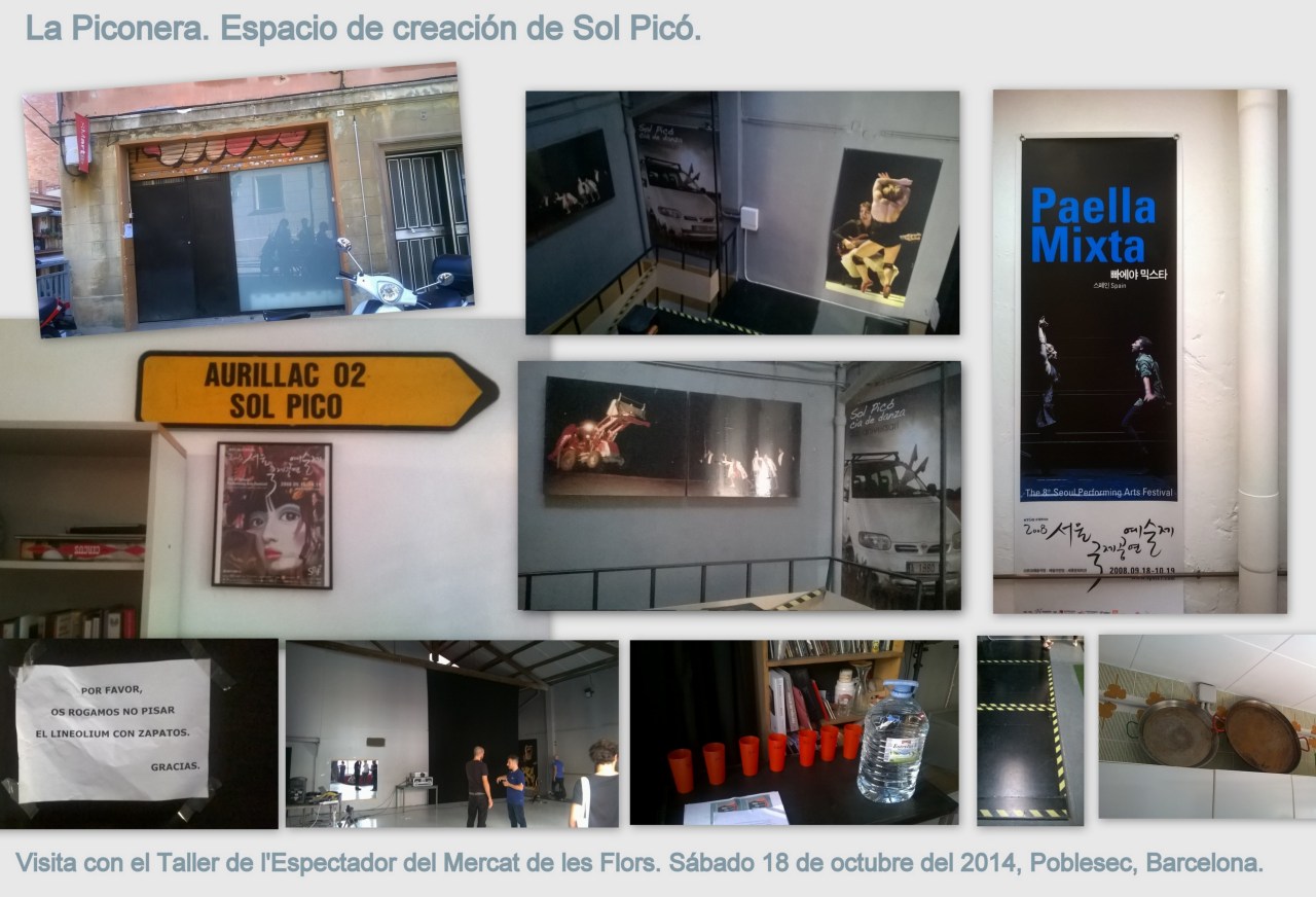 Visita a la Piconera Collage v2