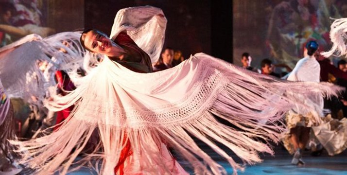 Proyecto VER Danza desembarca en el Teatre del Liceu con un grupo de 14 para ver el ballet SOROLLA del BNE, se nos ha hecho cortísimo, y yo&nbsp;repetiría